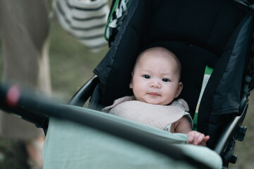 Adorable baby sits comfortably in a stroller, exploring the outdoor world with curiosity, calmness, innocence, charm, gentleness, wonder, safety, freshness, warmth, and delightful early experiences