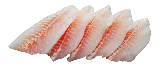 Raw Perch Fish Fillet on Transparent Background