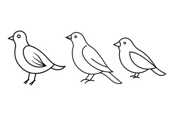 simple bird line art vector illustration 