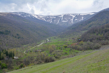 Obraz premium High mountains and green fields. Green forests and beautiful mountains. Mountain landscape