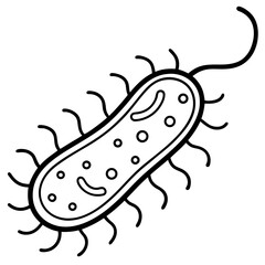 e--coli-line-art-vector