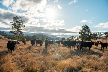 female farmers wife collecting soil samples in a test tube in a field. Agronomist checking soil carbon and plant health on a farm