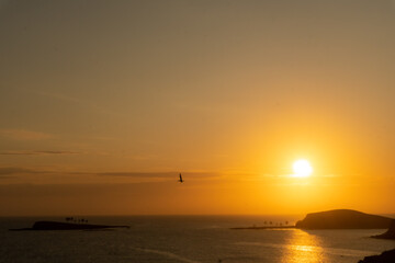 sunset over the sea