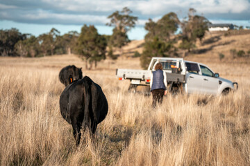 farmer holding soil full of microorganisms. sustainable regenerative agriculture, women in...