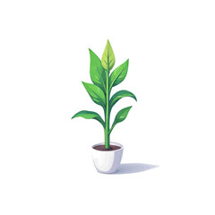 Vibrant Green Plant in White Pot on White Background