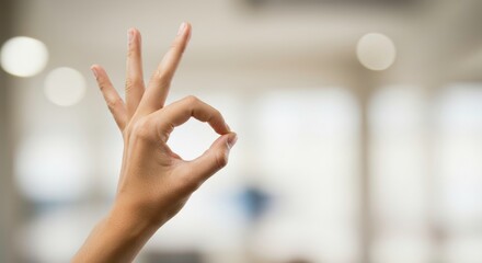 Perfect gesture success symbol approval excellent sign okay hand great job