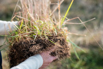 female farmers wife collecting soil samples in a test tube in a field. Agronomist checking soil...