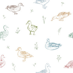Ducks and flowers seamless pattern in vector. Hand-drawn mallard duck illustration with wildflowers and herbs on white background. Springtime pattern with nature elements and waterfowl aquatic birds