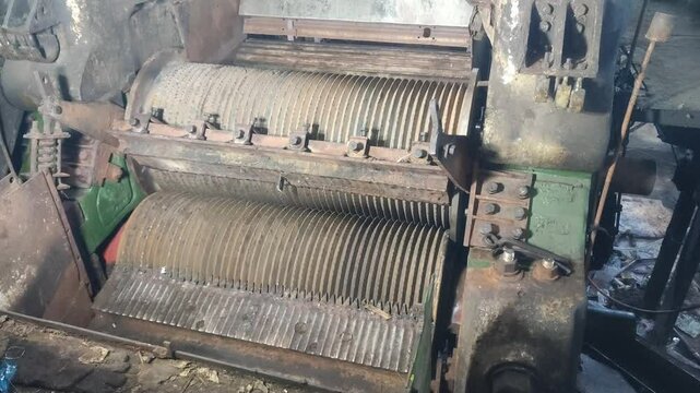 A sugarcane press rotates in a sugar mill to extract the juice from the cane and separate it from the fibrous pulp, starting the efficient sugar production process.