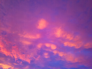 Nature canvas painted in hues of tranquility