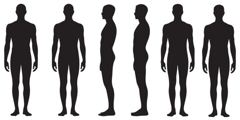 Male and Female Body Silhouettes Front and Side Views, Male Anatomy Diagrams Skeletal, Muscular, and Silhouette Views, human body anatomy, front, back, side view, vector woman and man