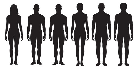 Male and Female Body Silhouettes Front and Side Views, Male Anatomy Diagrams Skeletal, Muscular, and Silhouette Views, human body anatomy, front, back, side view, vector woman and man