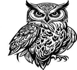 Fototapeta premium owl on a white background