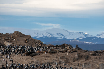mountain landscape with blue sky