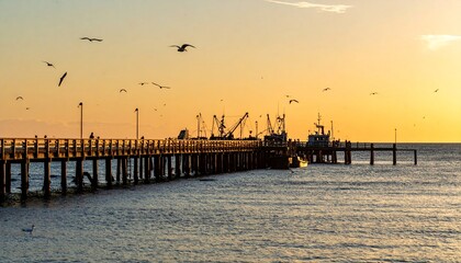 Sunlit pier extends to boats as birds fly in golden horizon view