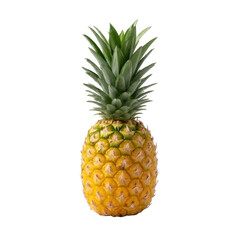 Obraz premium Ripe pineapple with vibrant yellow skin and green spiky leaves stands upright against transparency background, showcasing its tropical freshness