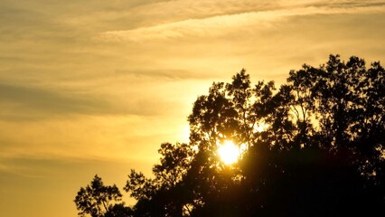 Sunset behind trees as light shines through during the golden hour of the day is peaceful beautiful time outdoors in nature