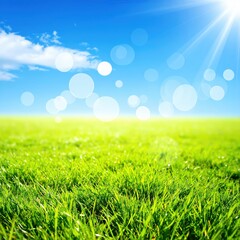 Fototapeta premium Vibrant green grass stretches across the foreground, under a bright blue sky dotted with fluffy white clouds, illuminated by the warm sun's rays.