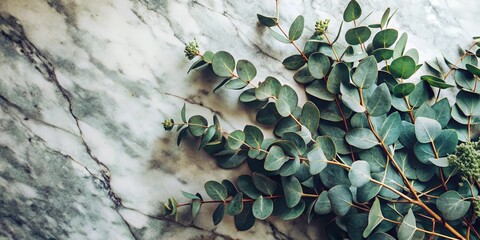 A Cluster of Eucalyptus Leaves on a Marbled Surface, Displaying the Beauty of Nature's Simple Elegance