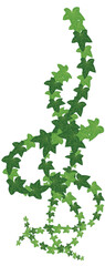 Curly Ivy Leaf Vine Decorative Plant Vector Illustration