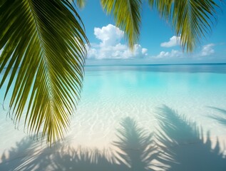 Fototapeta premium Palm Tree Leaves, Crystal Clear Water