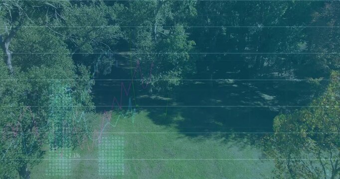 Financial line charts overlaying sunlit grassy clearing, with lone green chair in 3D render