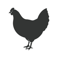  Hen silhouettes chicken,rooster,black isolated on white background. Creative silhoutte rooster icon logo design vector illustration art design.