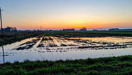 Tranquil Sunset Over Reflective Water in Rural Landscape