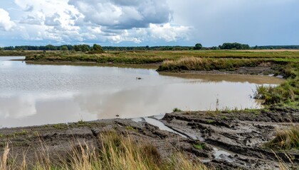 Tranquil Wetland Landscape Under Dramatic Clouds and Blue Sky