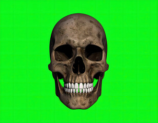 skull on green screen chromakey enabled background