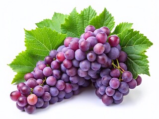 Fototapeta premium Lush Grapevine Branch with Ripe Grapes Isolated on White Background - Stock Photo