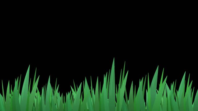 Animation loop of a strip of grass moving in the wind in flat style on a green screen with alpha channel (close-up)