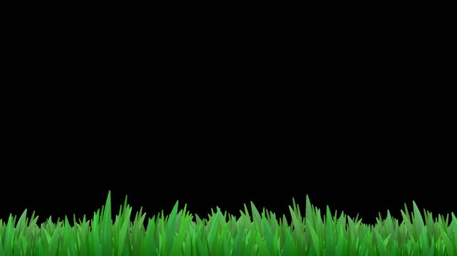 Animation loop of a strip of grass moving in the wind in flat style on a green screen with alpha channel (landscape)