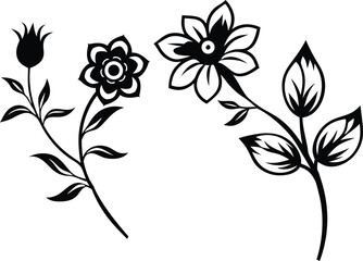 black and white flowers