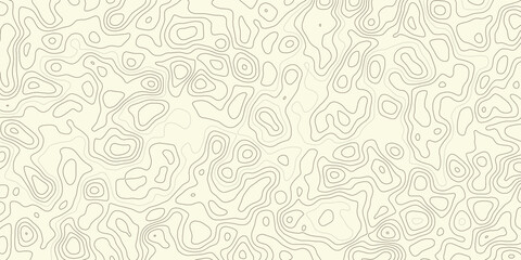 Topographic background and texture, monochrome. Black and white abstract Seamless Pattern with Contour Lines map.