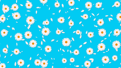 white daisies flowers pattrrn on blue background , cosmetic beauty and herbal tea drink floral social media design element	