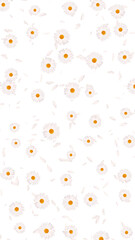 white daisies flower and petals falling on transparent background,png cosmetic beauty and wave isolated vertical social media design element	