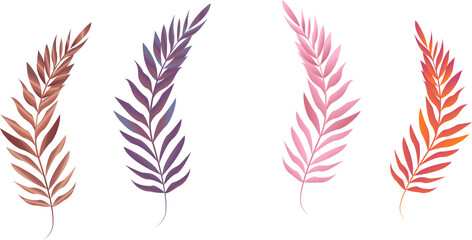 feather vector illustration png