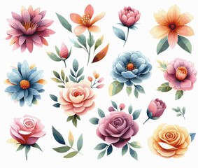 Blush Blossoms flower isolated watercolor vector illustration svg