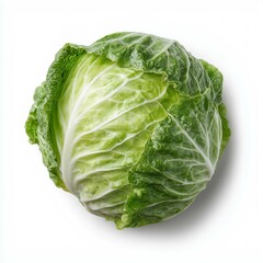 Fototapeta premium Fresh cabbage isolated on white background,healthy eating concept.
