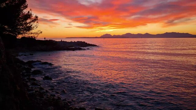 Landscape in the Cap d'Antibes, South of France