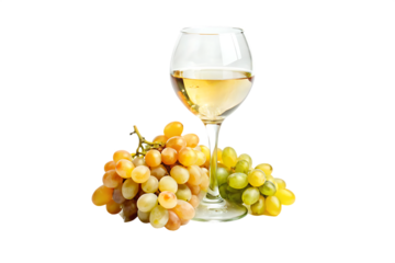 A glass of white wine with two bunches of grapes on a black background in a studio shot still life