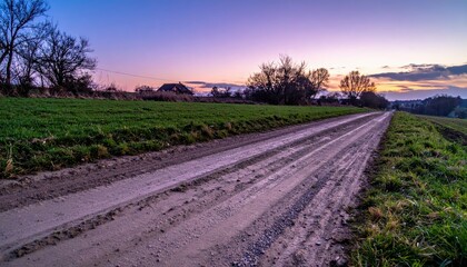 Fototapeta premium Serene Dirt Road Glowing Under Gentle Sunset Sky in Rural Landscape