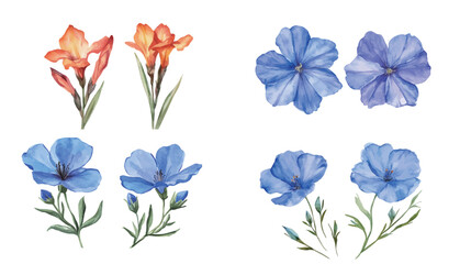 Watercolor illustration of two Lechenaultia flowers with delicate petals and vibrant blue tones, botanical poster style featuring detailed floral artwork ideal for nature lovers, home decor