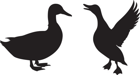 silhouette of a duck