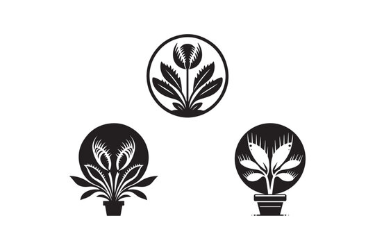 Black and white Venus flytrap silhouettes on white background. Venus flytrap plant logo design