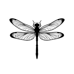 Minimalist black silhouette of a dragonfly with intricate wings on white background