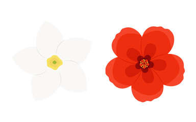 Set with flowers. Red and white tropical flower. Vector illustration. Hibiscus and plumeria isolated on white or transparent background. Closeup element for summer design decoration.
