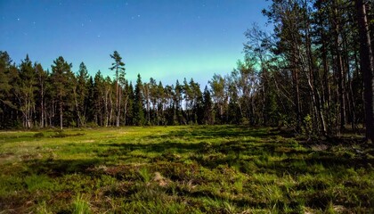 Fototapeta premium Peaceful Forest Clearing at Night Under a Starry Sky with Auroras