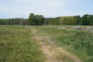 Landschaft des Erpetalwanderwegs zwischen Berlin und Brandenburg im Frühling, Teil des...